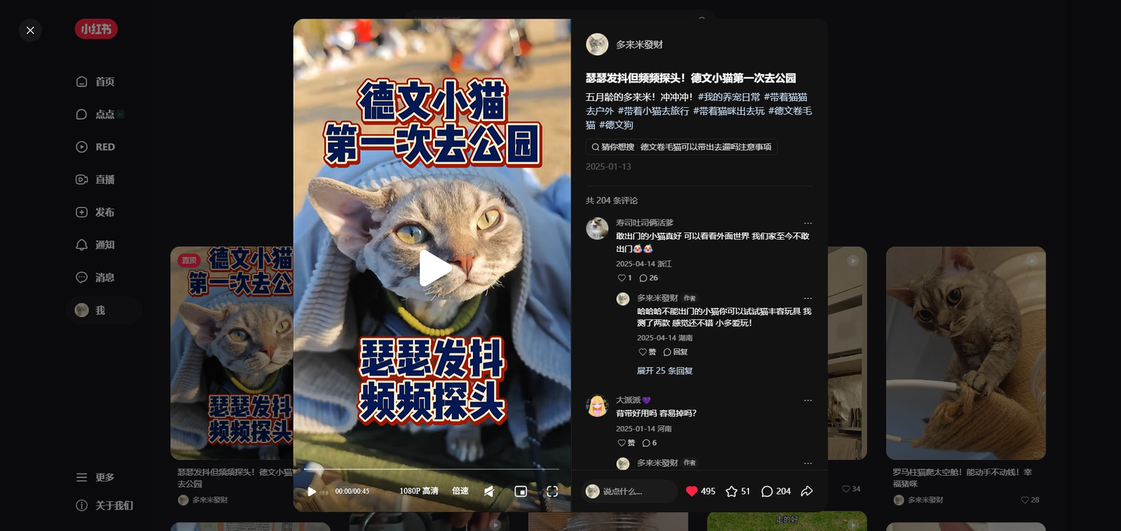 Top post detail ~500 likes