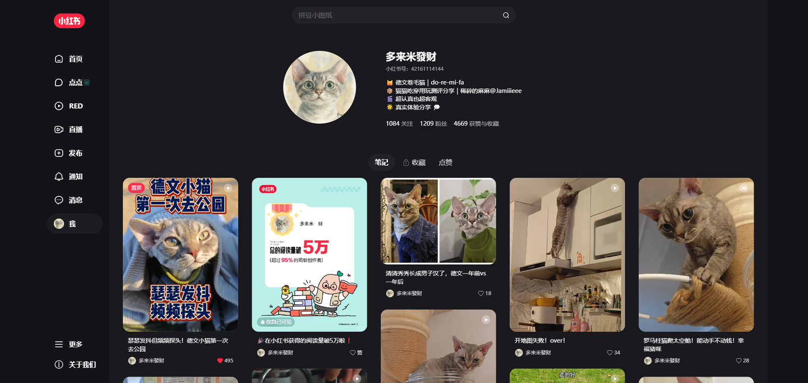 Pet account profile overview